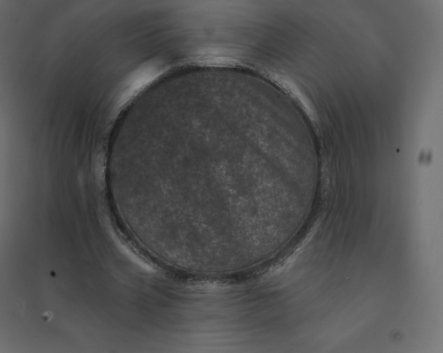 X0000094440533200711211458