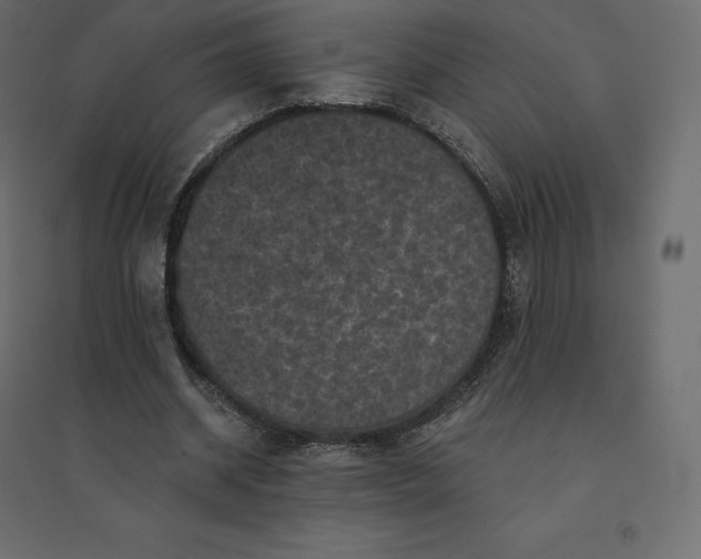 X0000094440534200711211458