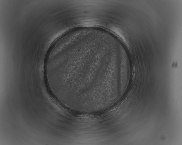 X0000094440535200711211458