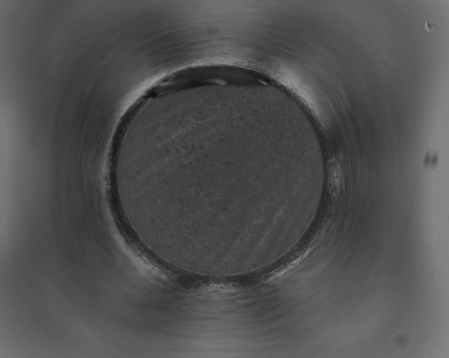 X0000094440536200711211458