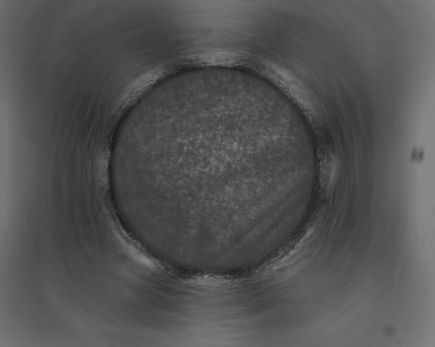 X0000094440537200711211458