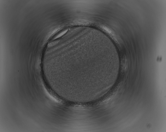 X0000094440538200711211458