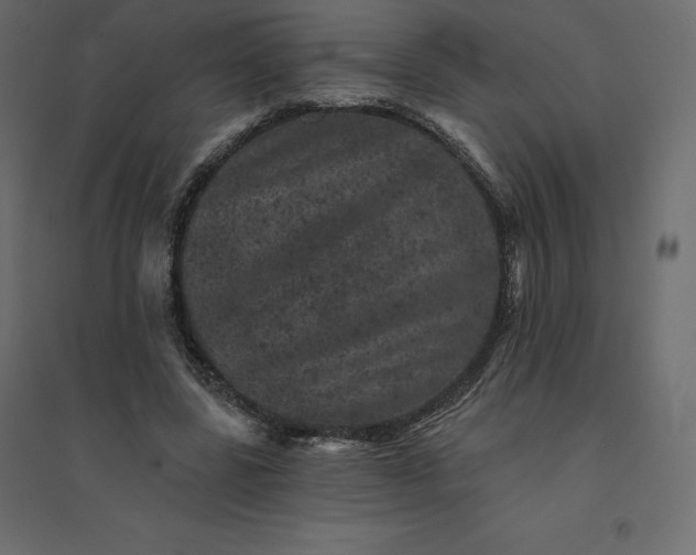 X0000094440539200711211458