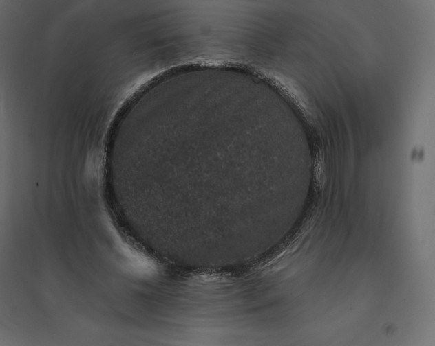 X0000094440540200711211458