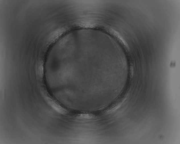 X0000094440541200711211458