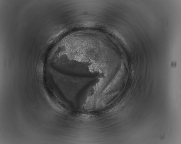 X0000094440542200711211458