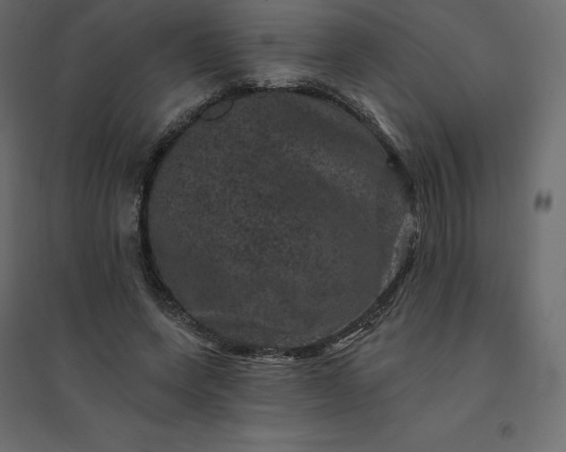 X0000094440543200711211458