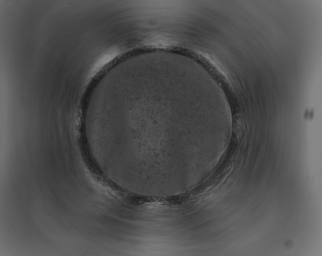 X0000094440544200711211458