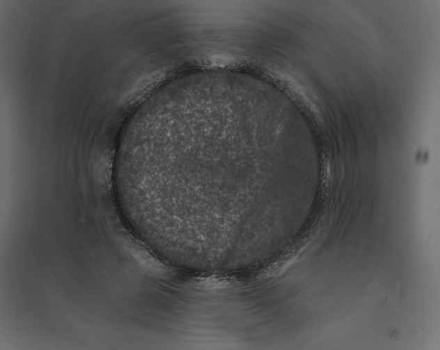 X0000094440545200711211458