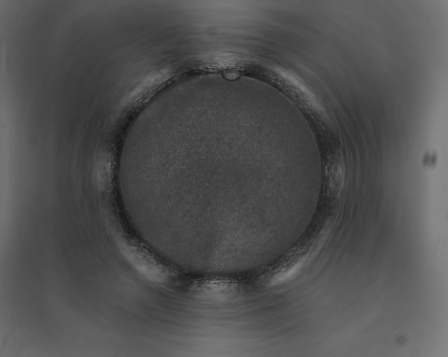 X0000094440546200711211458