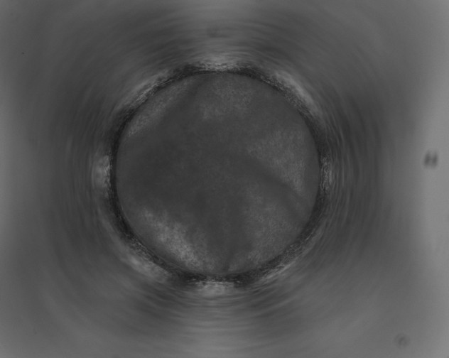 X0000094440549200711211458