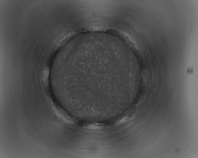 X0000094440550200711211458