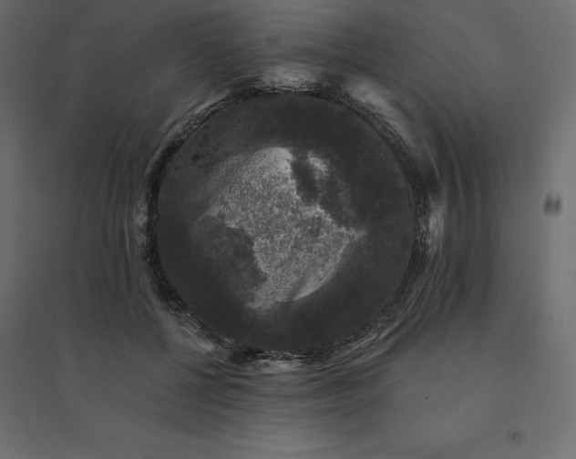 X0000094440552200711211458