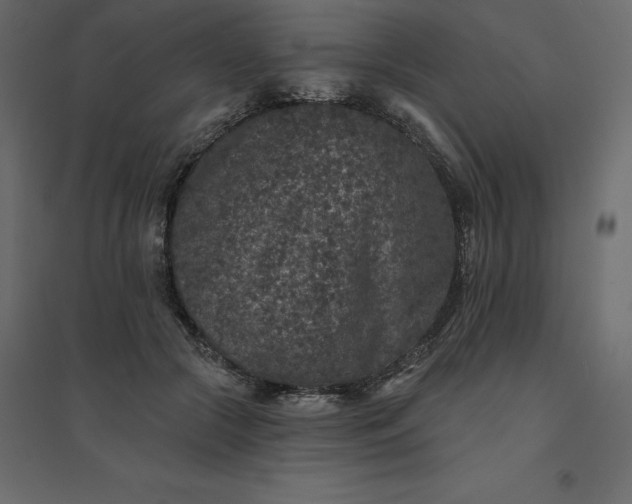 X0000094440553200711211458