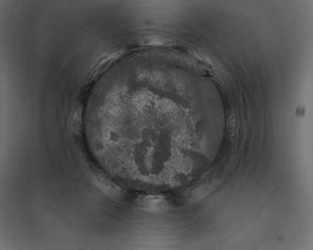 X0000094440554200711211458