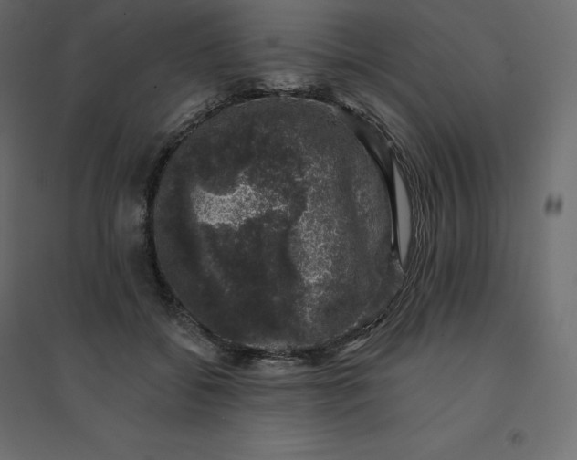 X0000094440556200711211458