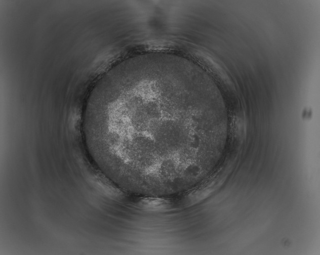 X0000094440557200711211458