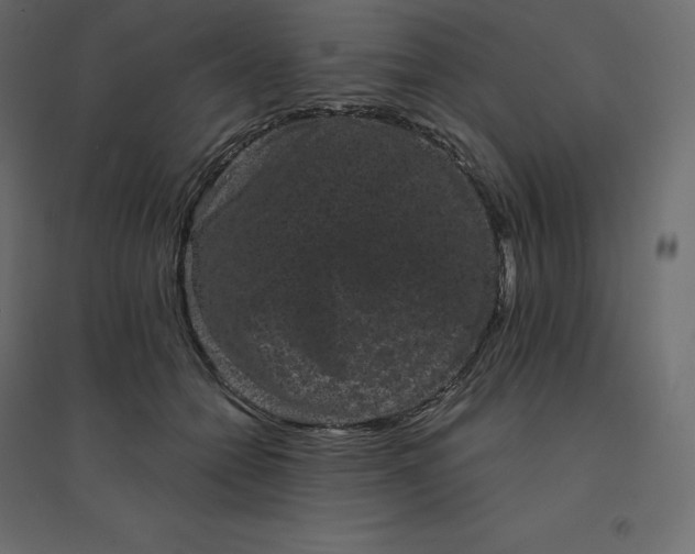 X0000094440558200711211458