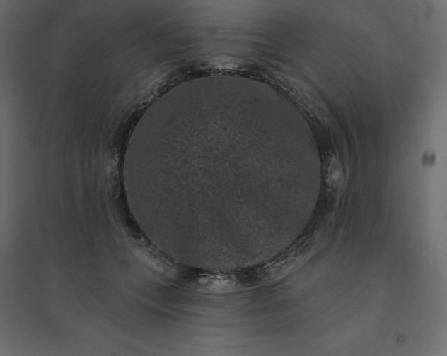 X0000094440559200711211458