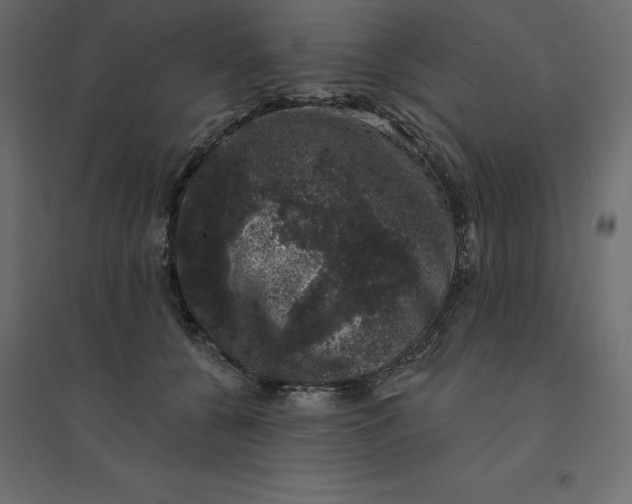 X0000094440560200711211458