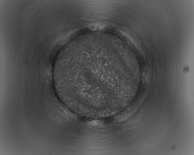 X0000094440561200711211458