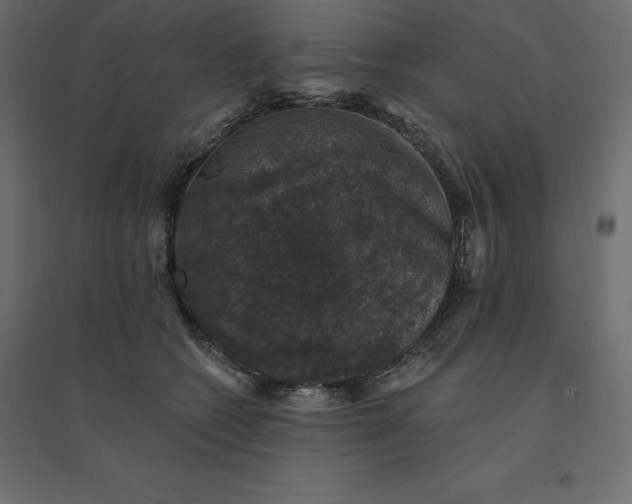 X0000094440562200711211458