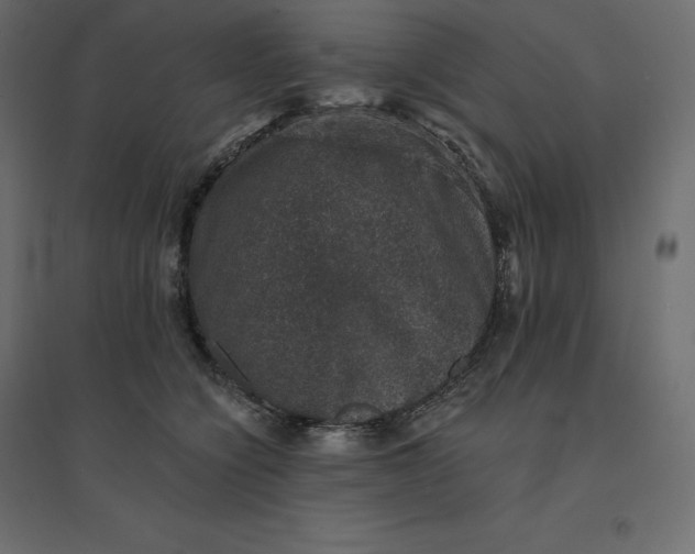 X0000094440564200711211458