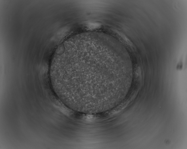 X0000094440565200711211458