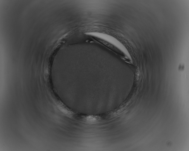 X0000094440566200711211458