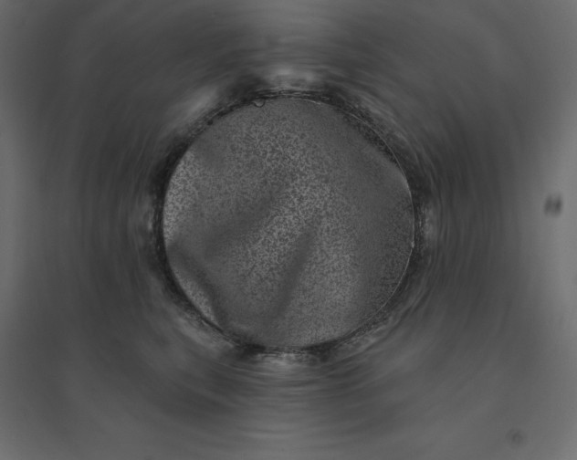 X0000094440567200711211458