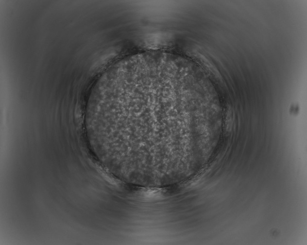 X0000094440569200711211458