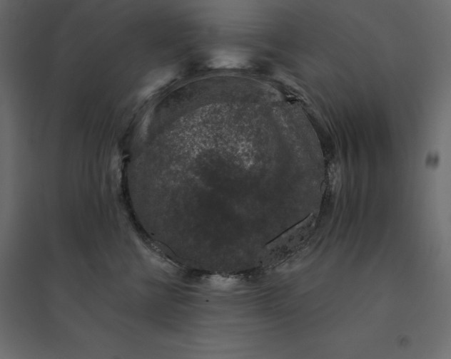 X0000094440570200711211458