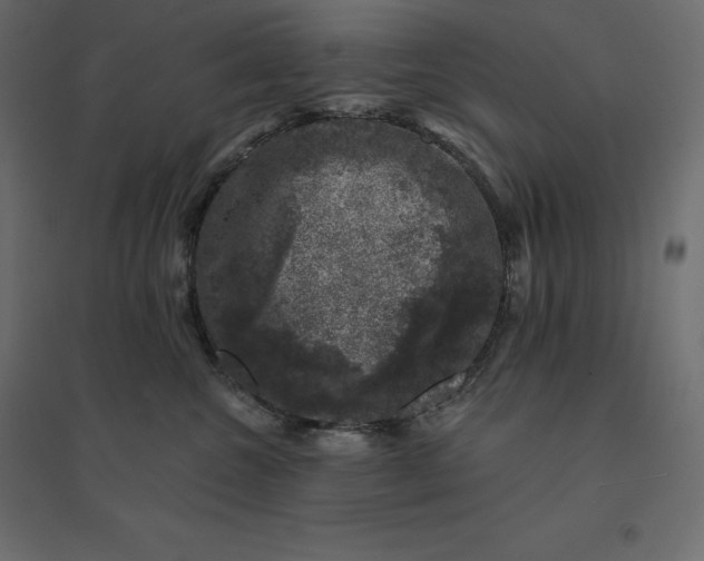 X0000094440572200711211458