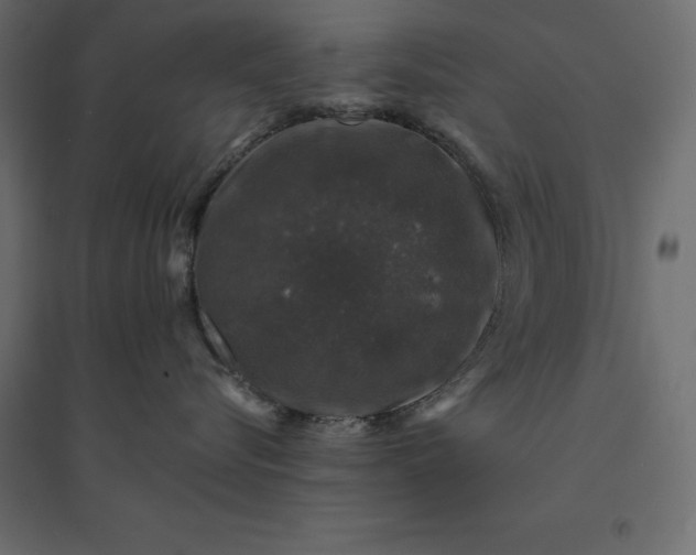 X0000094440576200711211458