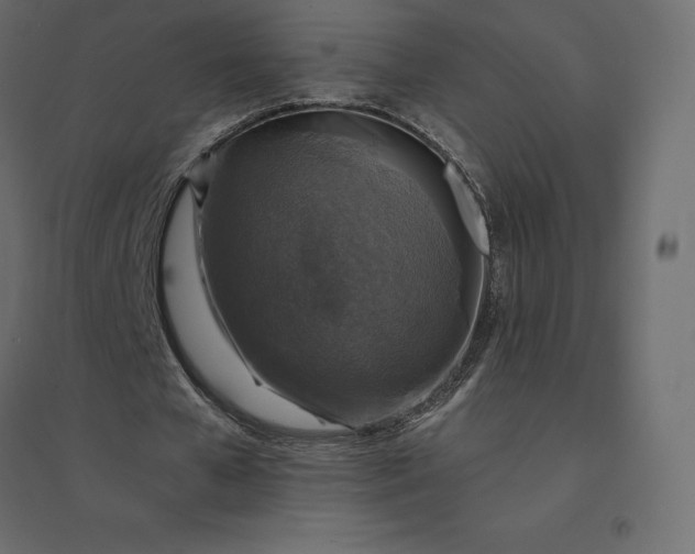 X0000094440577200711211458