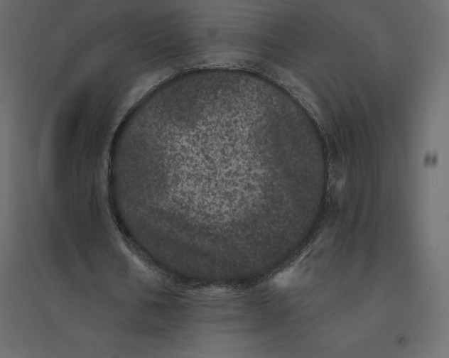 X0000094440578200711211458