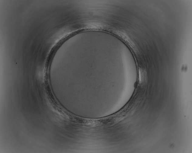 X0000094440579200711211458