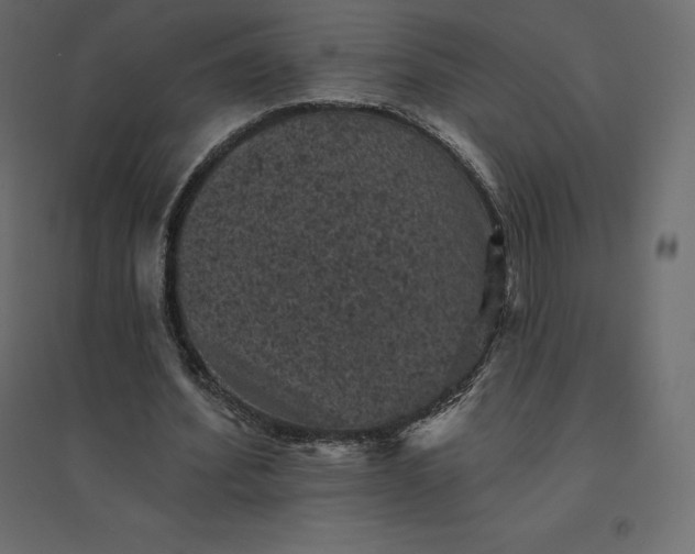 X0000094440580200711211458