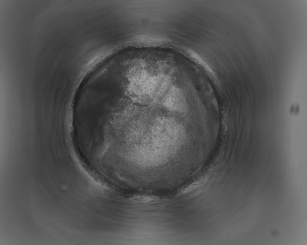 X0000094440582200711211458