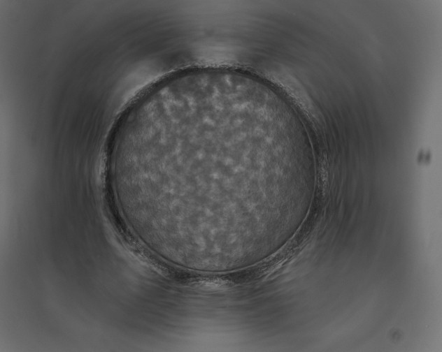 X0000094440583200711211458