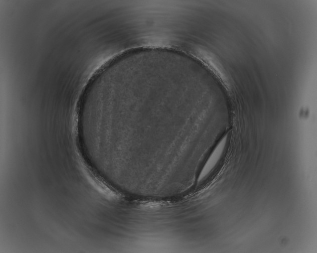 X0000094440584200711211458