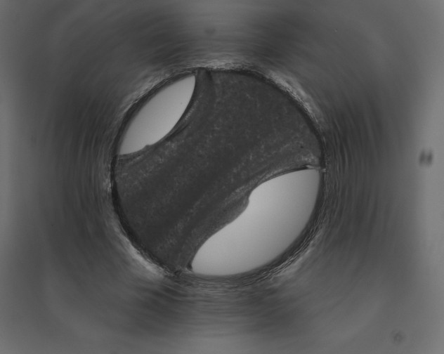 X0000094440585200711211458