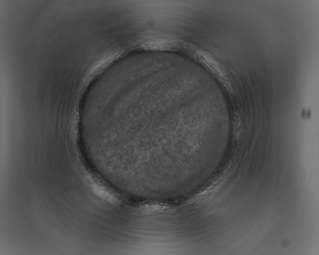 X0000094440586200711211458