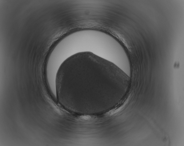 X0000094440589200711211458