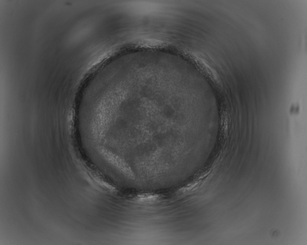 X0000094440591200711211458