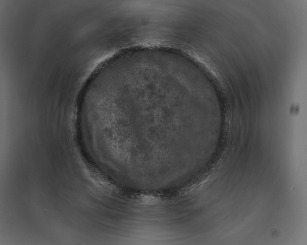 X0000094440592200711211458