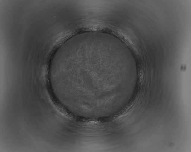 X0000094440594200711211457