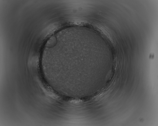 X0000094440595200711211457