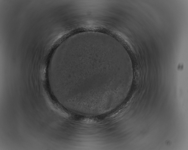 X0000094440596200711211457