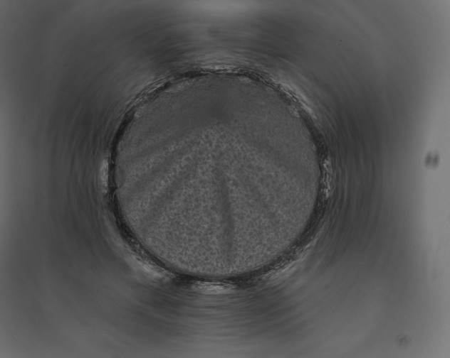 X0000094440597200711211457